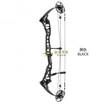  2018 马修斯哈龙X COMP复合弓Mathews Halon X Comp Compound Bow