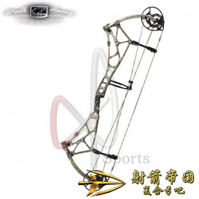 熊牌竞技场34复合弓Bear Arena 34 Compound Bow