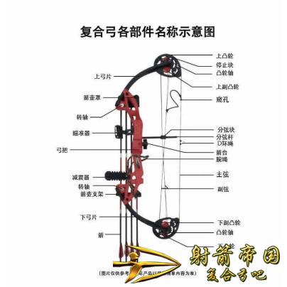 公爵儿童复合弓 儿童训练弓 渔猎弓