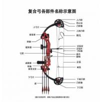 公爵儿童复合弓 儿童训练弓 渔猎弓