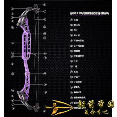 宗师X10高级射准复合弓