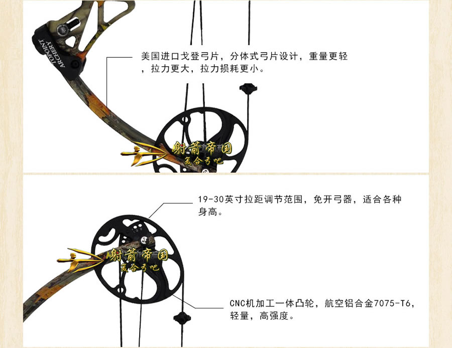 顶点M1复合弓