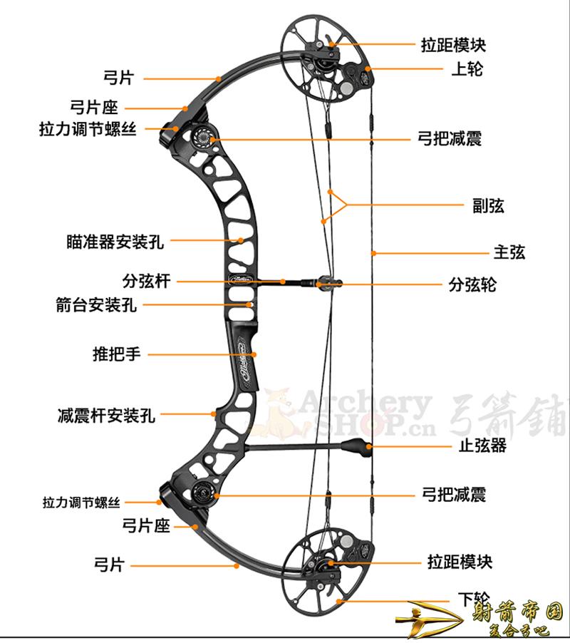 Mathews Tactic马修斯战术复合弓