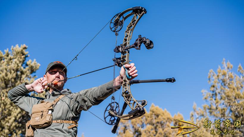 Mathews VXR 31