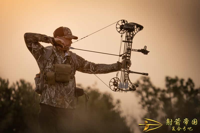  Mathews V3X