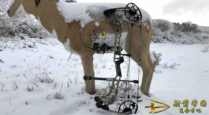  Mathews Vertix 