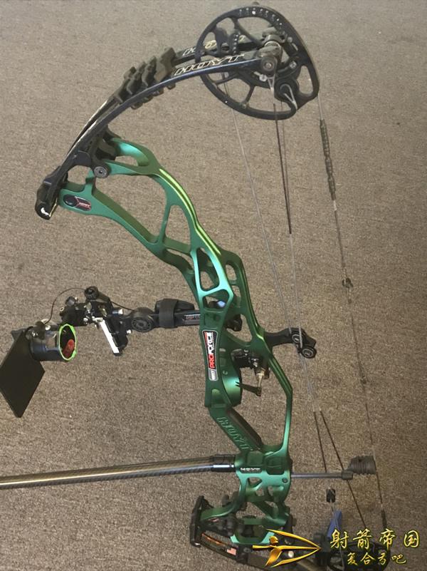 HOYT Pro Force