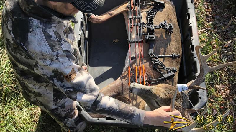 Mathews VXR 31